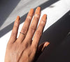 Nude Collection Set (Traditional or Gel)