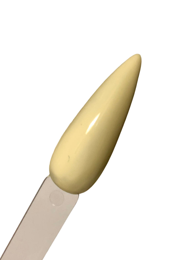 Terracotta(NORMAL PROCESSING TIMES ARE BACK!)